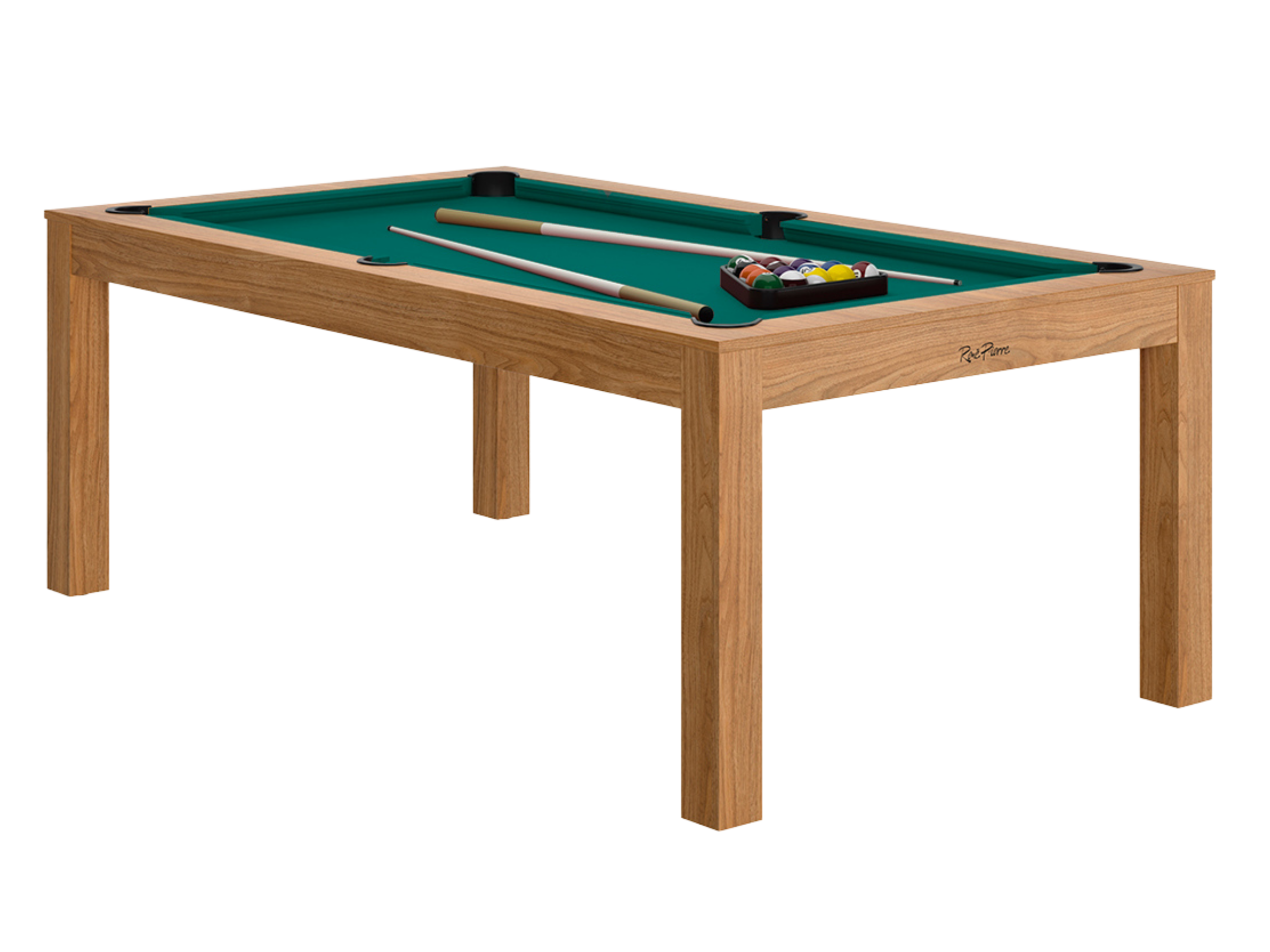 VIGNETTE SITE billard (1)
