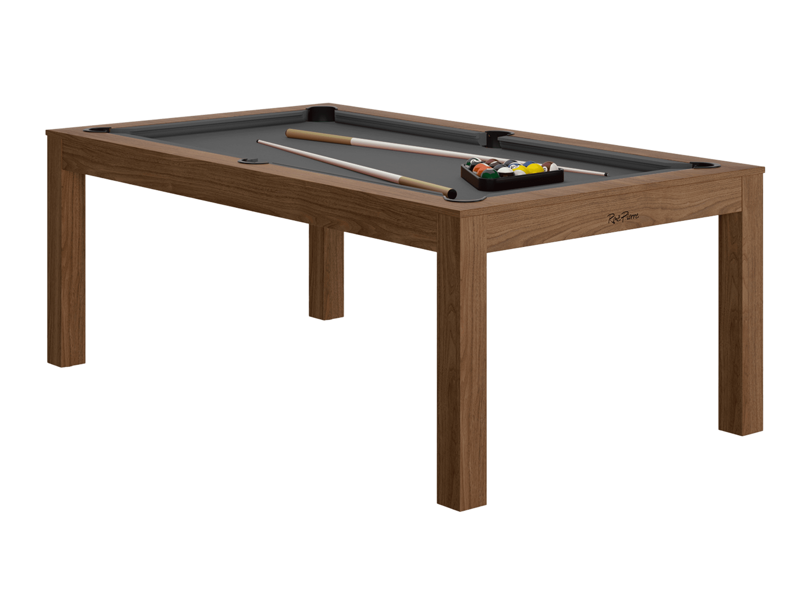 VIGNETTE SITE billard (2)